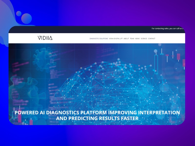 Website development 03