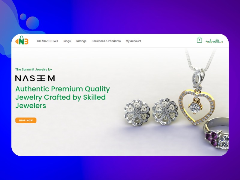 Website development 04